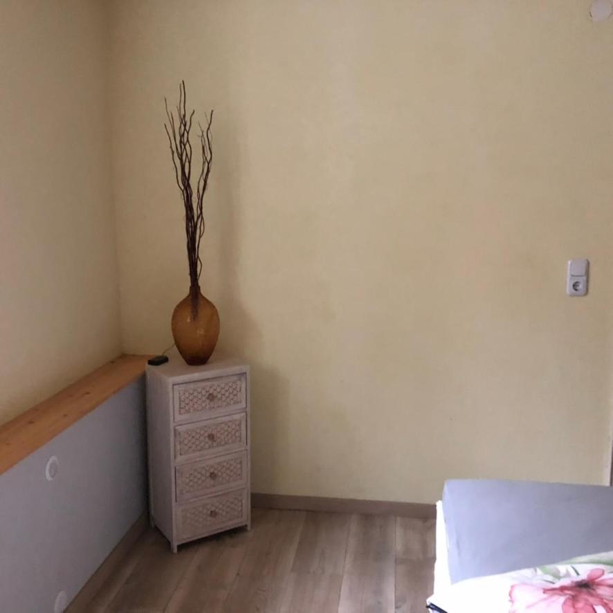 Appartement Casa Palatina à Merzalben Extérieur photo